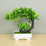 bonsai_cleanup